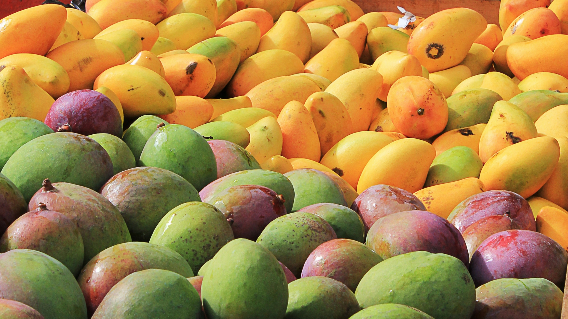 Mangoes: Are They Healthy?